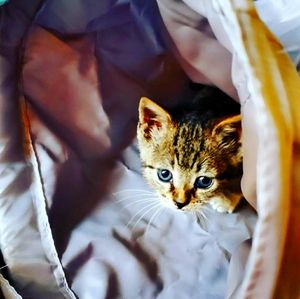 Serina  New member of the family!!